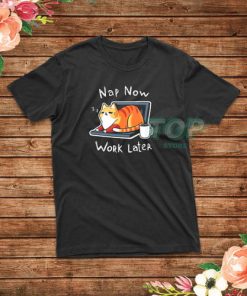 Cats Nap Now Work Later T-Shirt