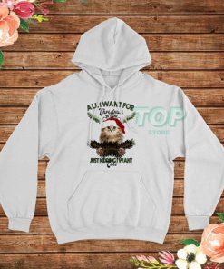 All I Want For Christmas Is You Just Kidding I Want Cats Hoodie