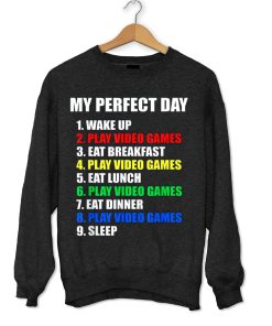 The Perfect Gaming Day Suprise for Gamers Sweatshirt